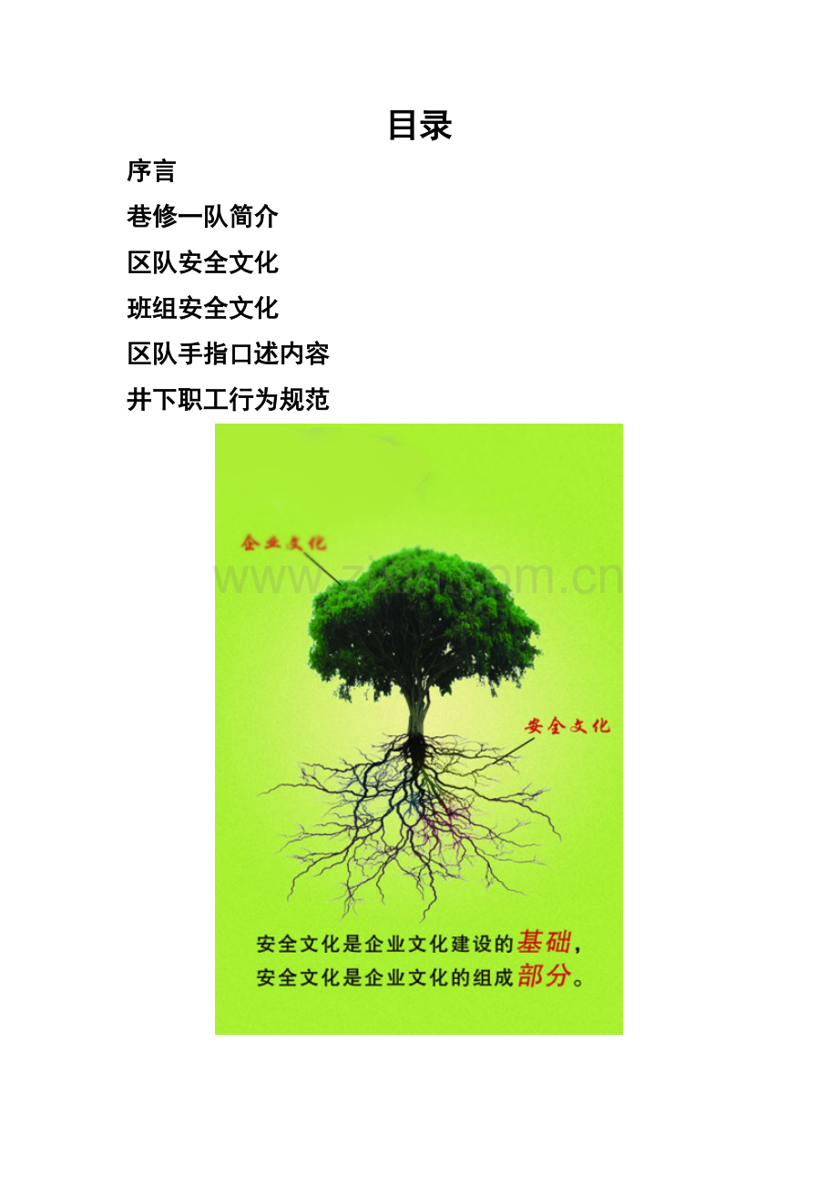 巷修一队安全文化手册.doc_第2页