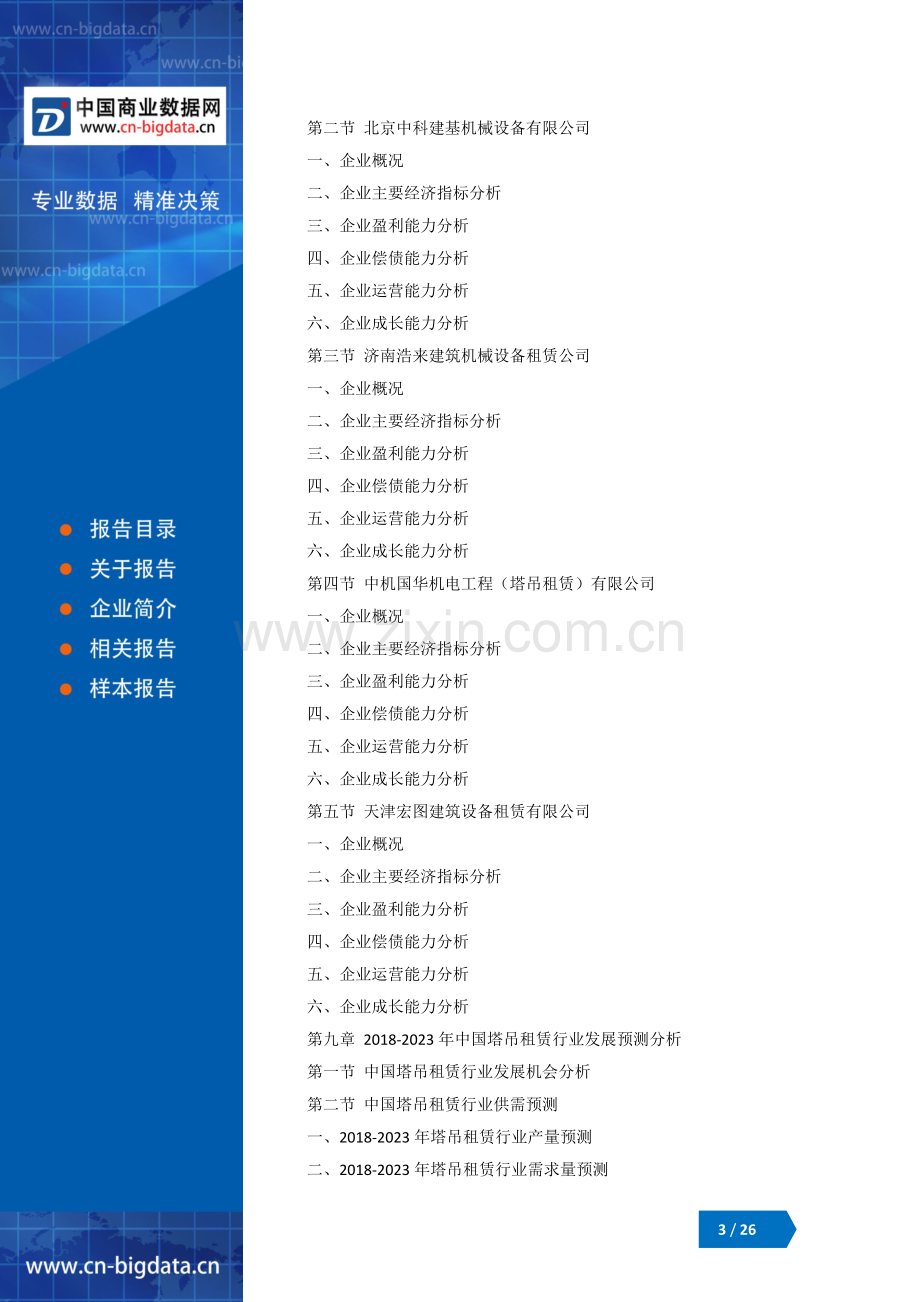 2018-2023年中国塔吊租赁行业市场发展态势分析及风险预测研究报告.docx_第3页