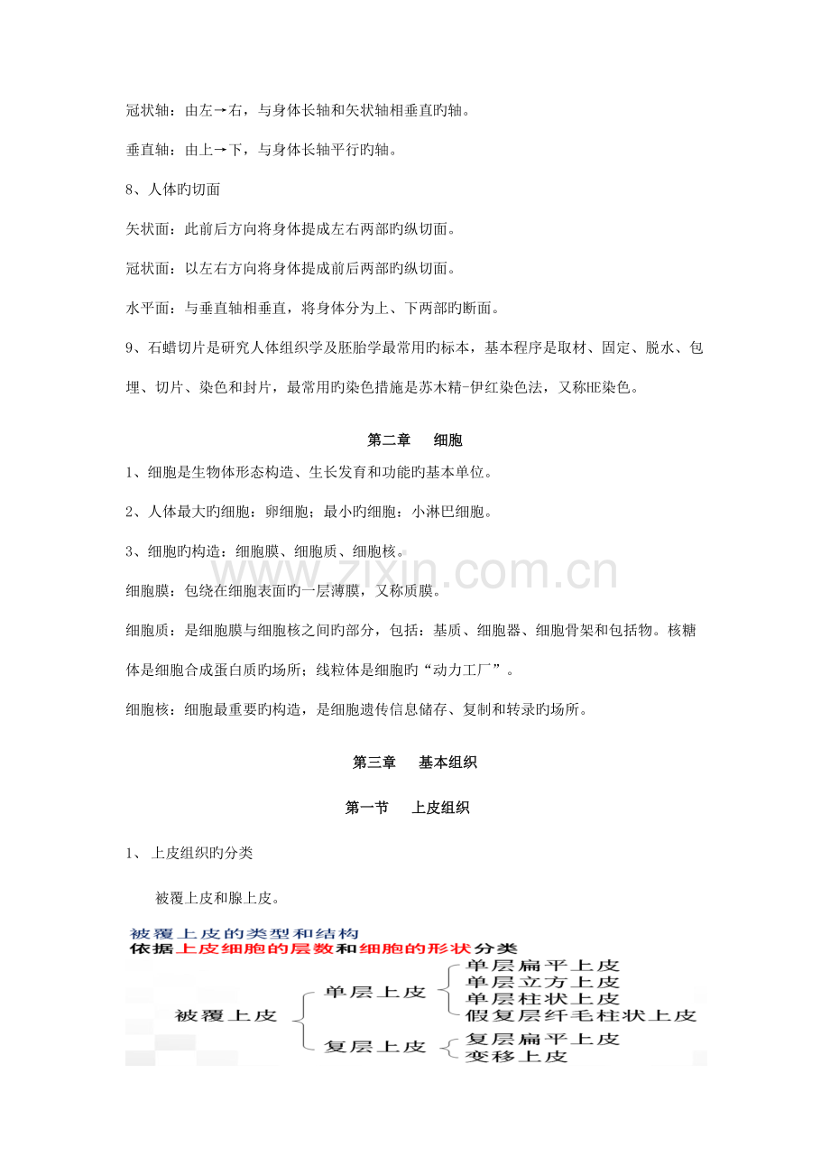 2023年解剖学基础知识点整理.doc_第2页