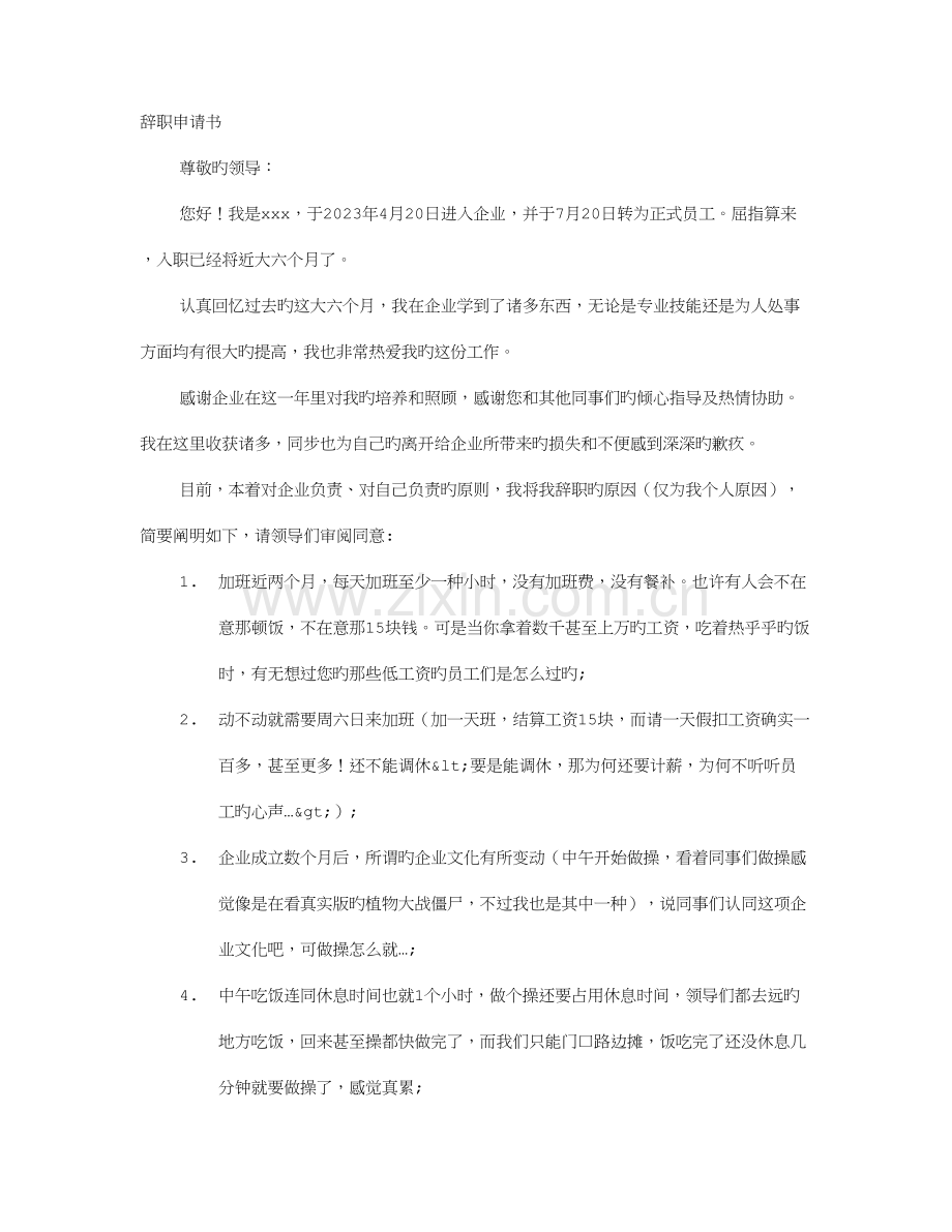 2023年程序员离职报告.doc_第1页