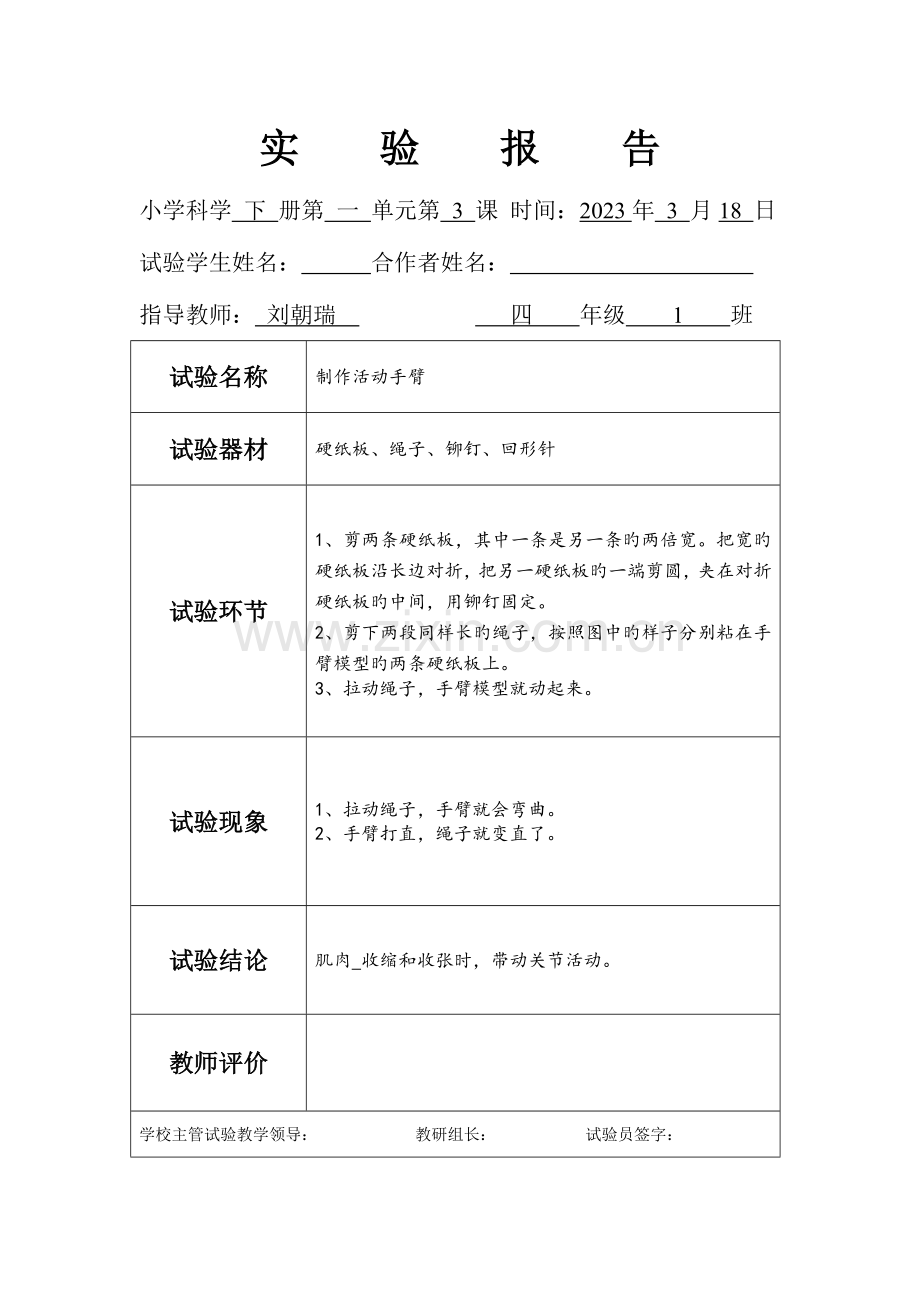 2023年四年级下册苏教版实验报告单.doc_第2页