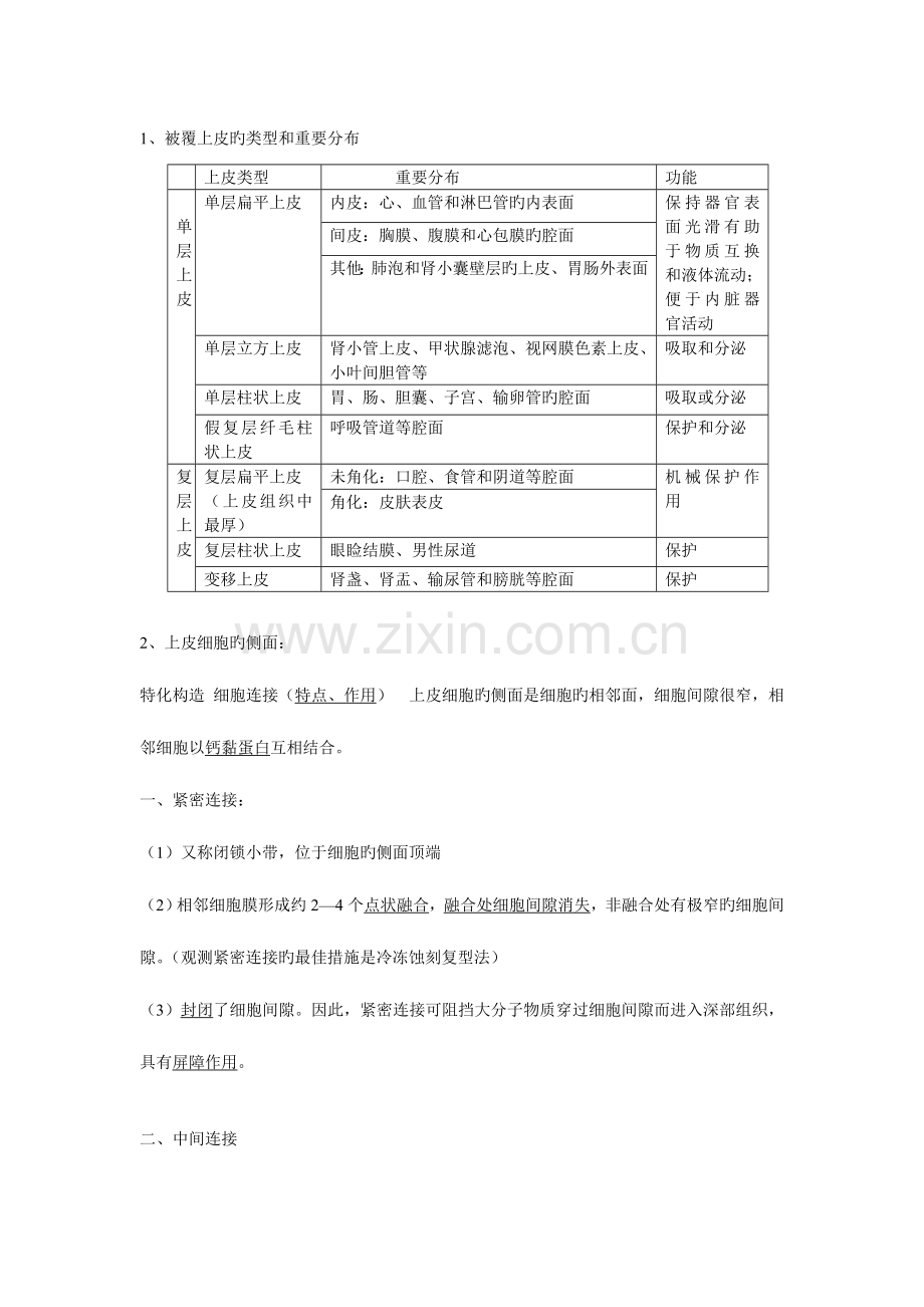 2023年组织学与胚胎学重点总结归纳.doc_第2页