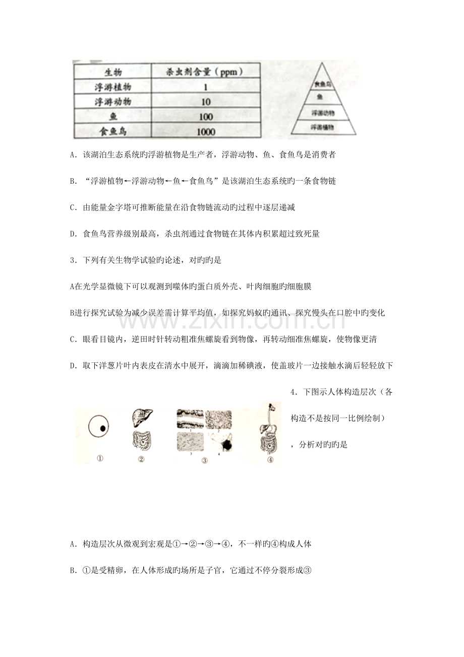 2023年山东省泰安市中考生物真题试题含答案含答案.doc_第2页