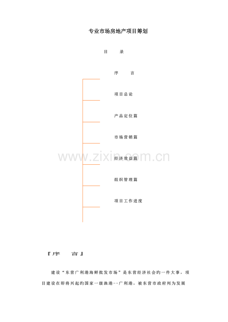 专业市场的房地产项目策划教材.doc_第1页