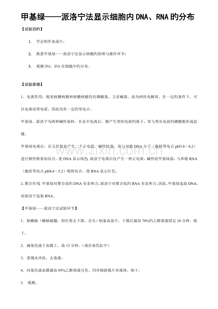 2023年甲基绿派洛宁法显示细胞内DNARNA的分布实验报告山东大学.doc_第1页