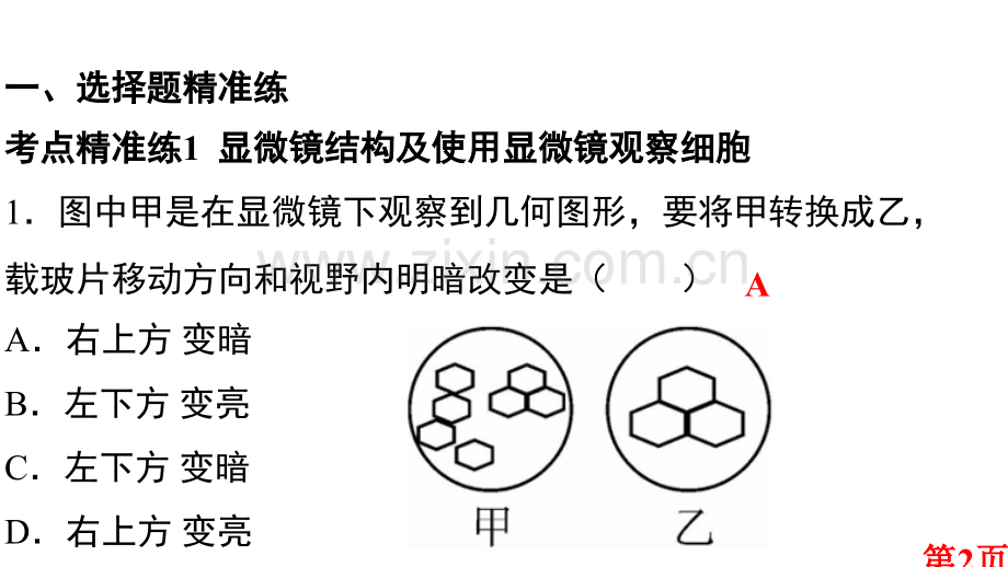 专题二-生物体的结构层次省名师优质课赛课获奖课件市赛课一等奖课件.ppt_第2页