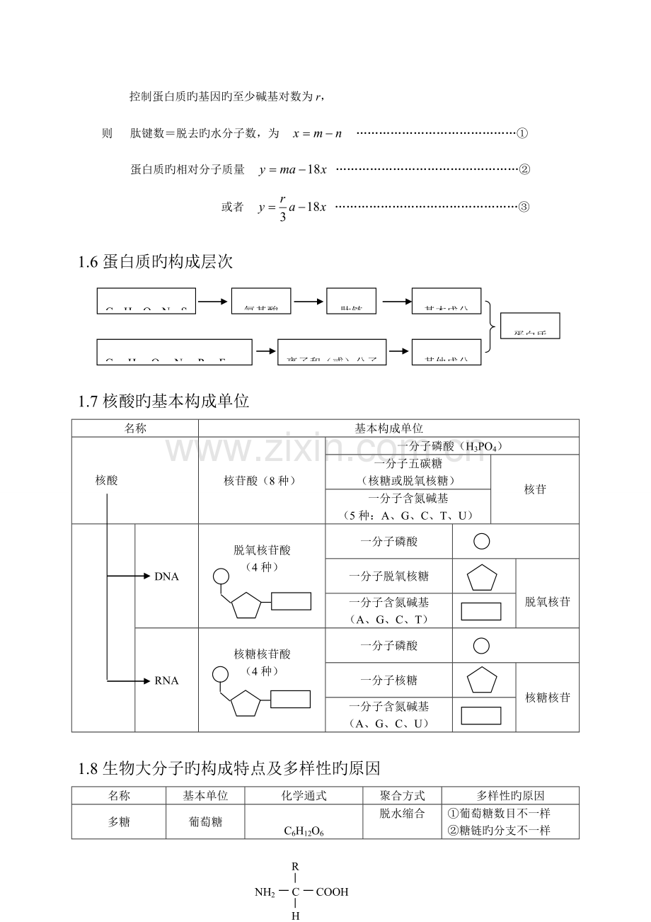 2023年高考生物知识点总结.doc_第3页