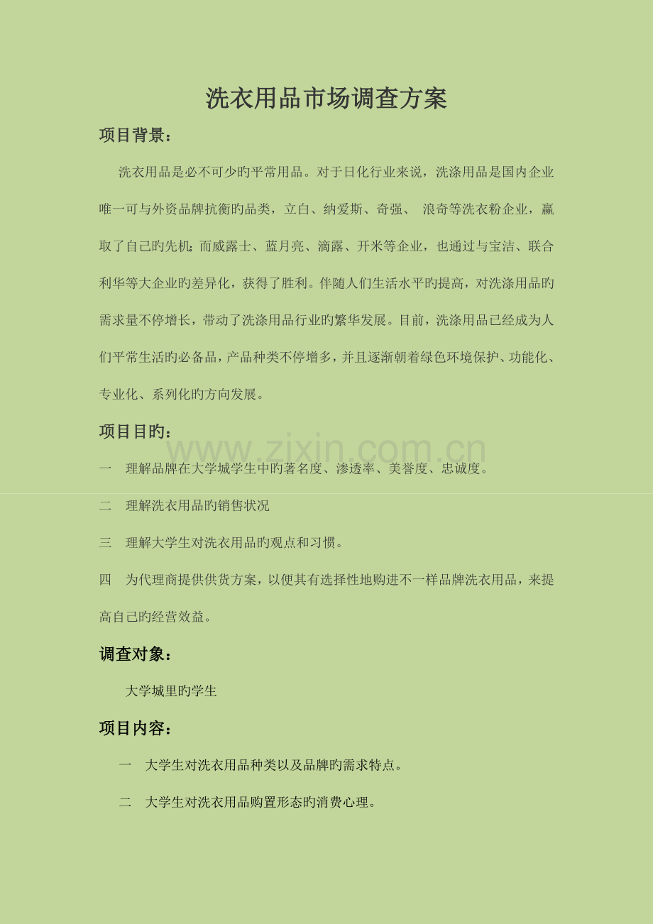 洗衣用品市场调查方案.docx_第1页