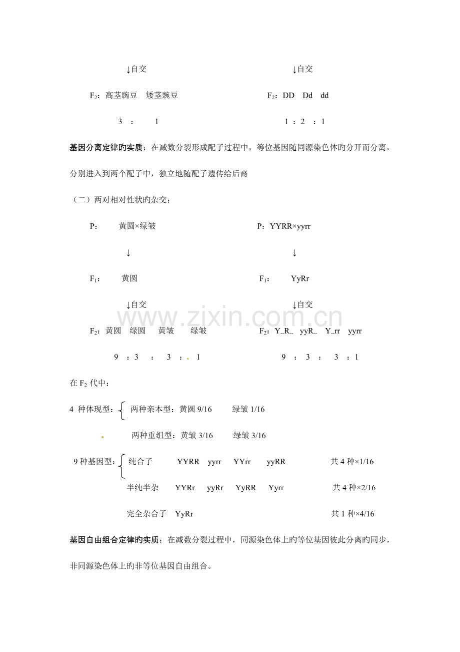 2023年高中生物必修二知识点讲义.doc_第3页