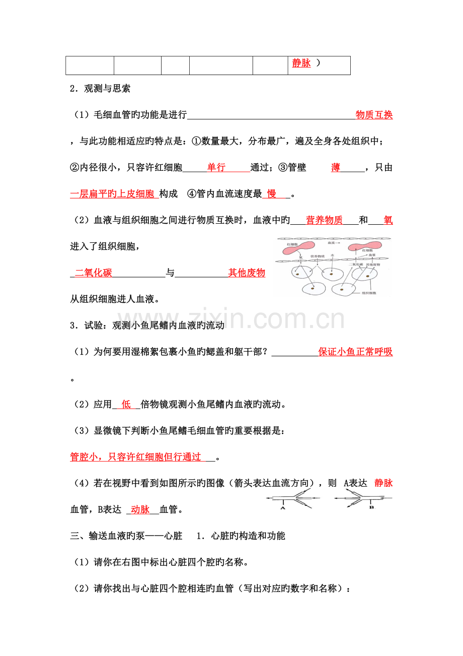 2023年血液循环知识点和题目答案.doc_第3页