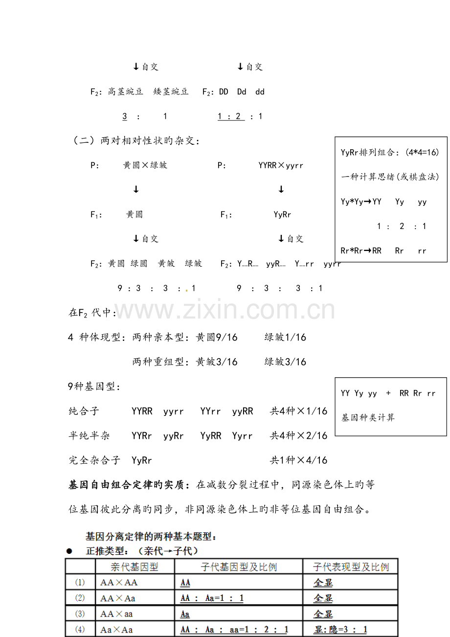 2023年生物必修二知识点总结.doc_第3页