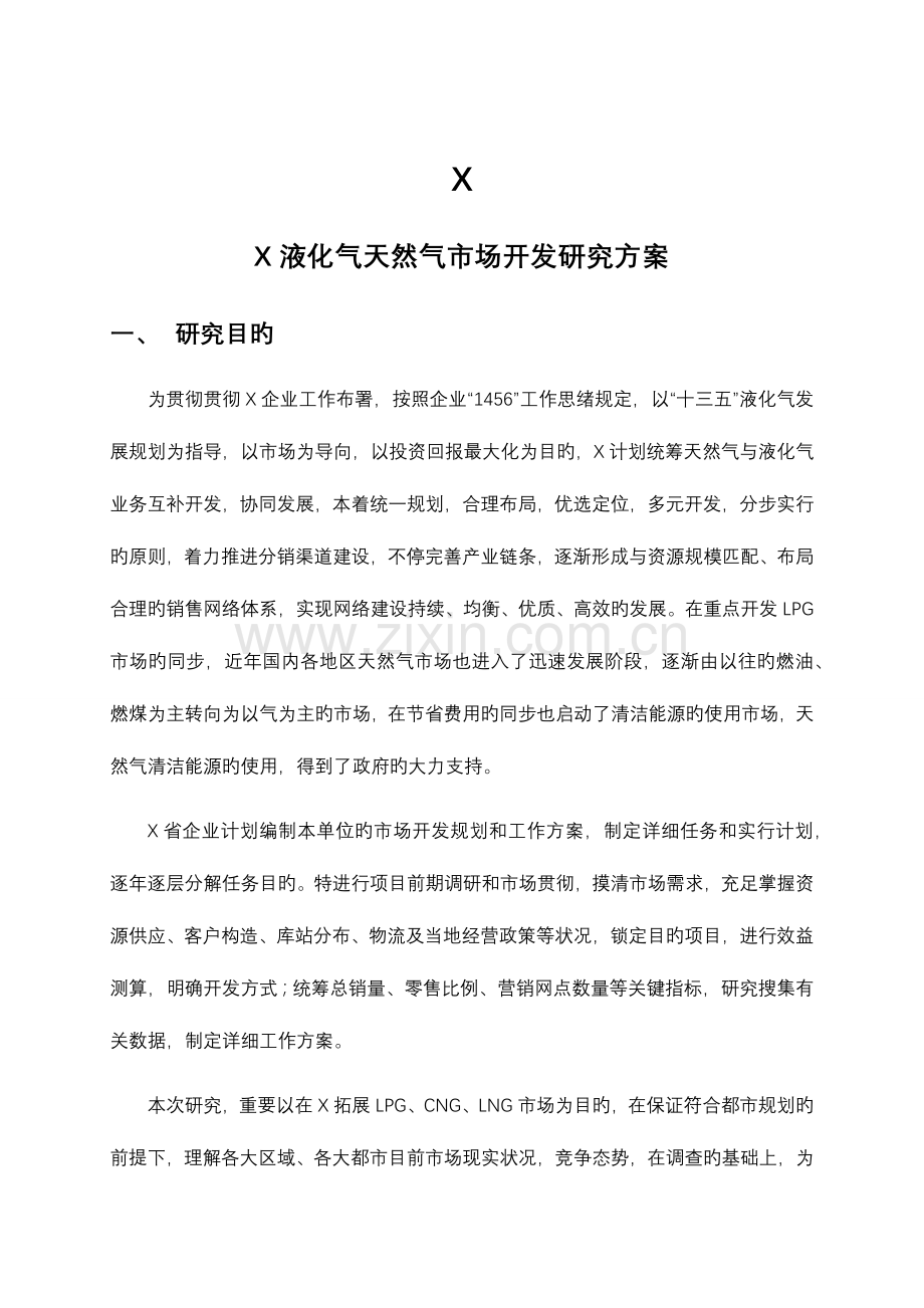 液化气天然气市场开发研究方案.docx_第1页