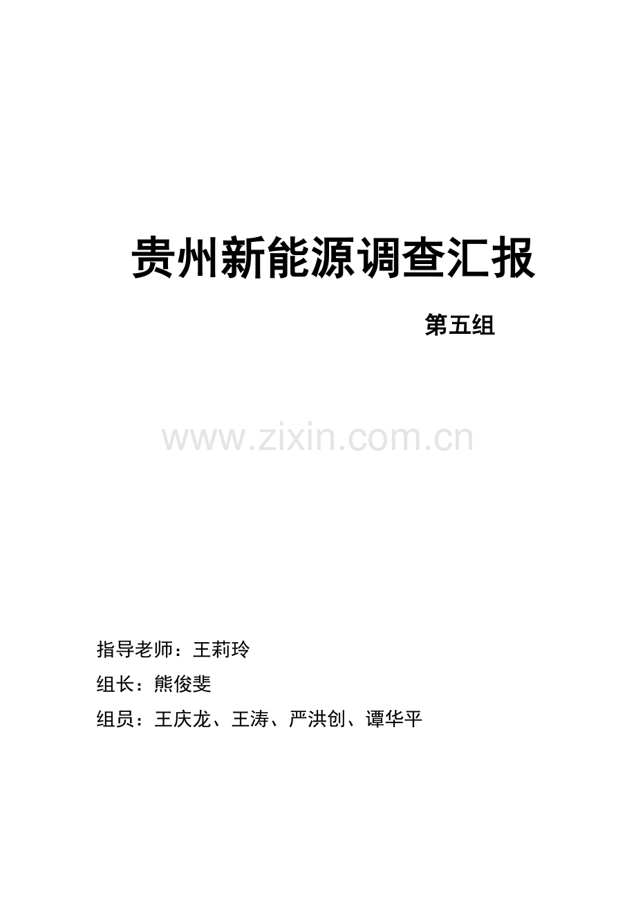 贵州新能源调查报告.doc_第1页