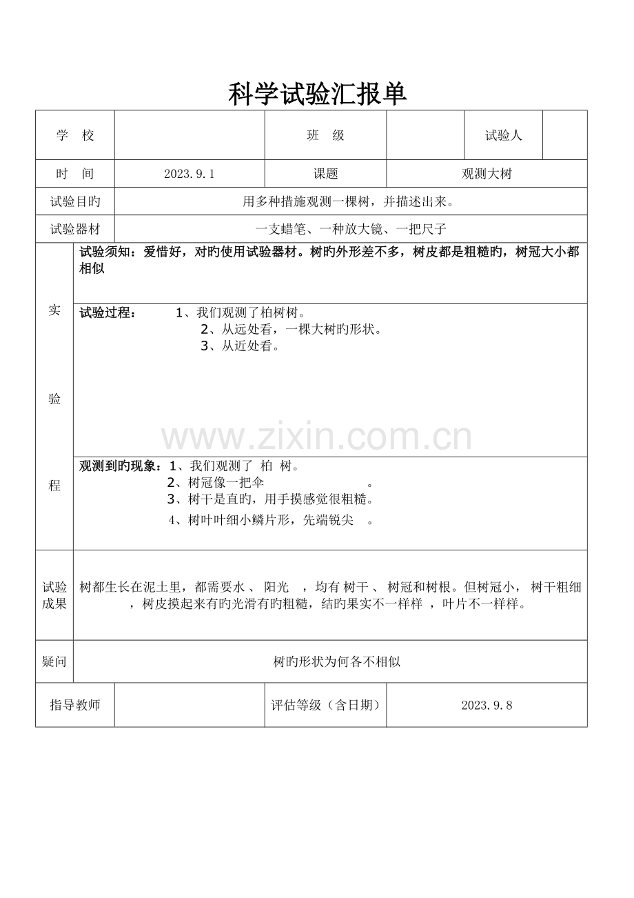 2023年教科版三年级上册科学实验报告单城厢小学.doc_第1页