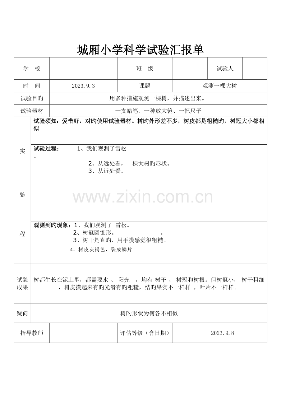 2023年教科版三年级上册科学实验报告单城厢小学.doc_第2页