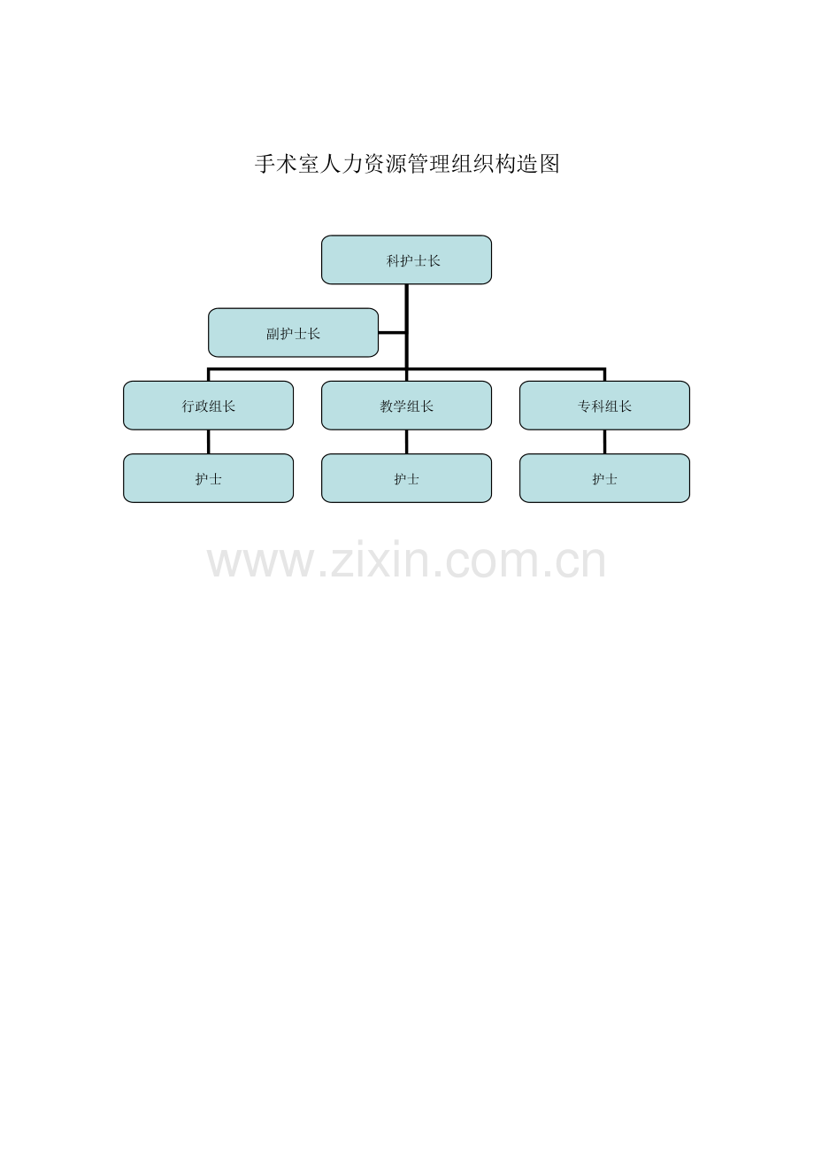 手术室护理管理体系.doc_第2页