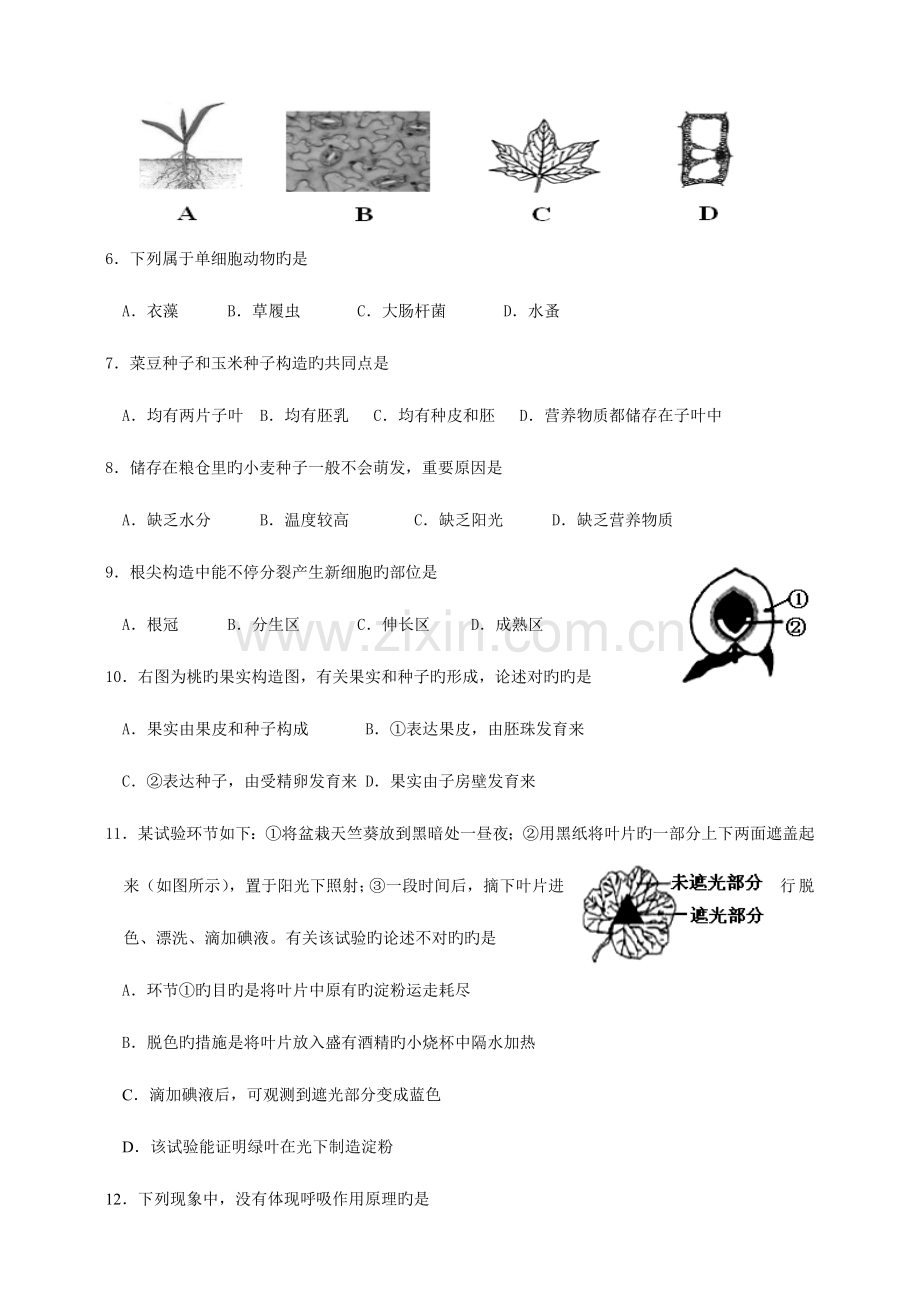 2023年云南省初中学业水平考试生物学试题卷及答案.doc_第2页