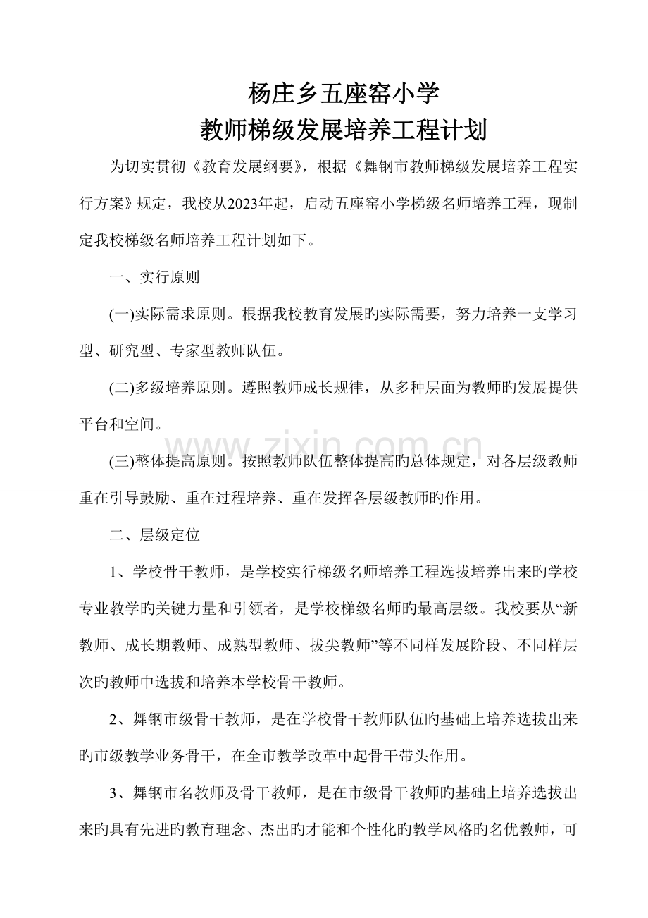 教师梯级发展培养工程计划.doc_第2页