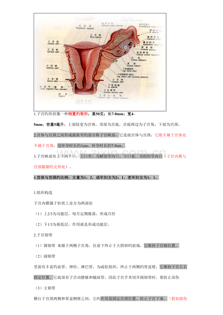 2023年女性生殖系统笔记讲全.doc_第2页