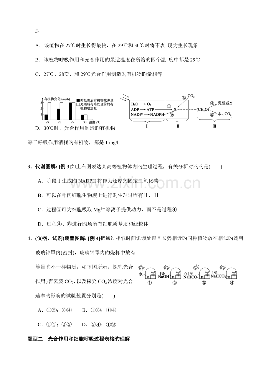 2023年光合作用与呼吸作用题型归纳总结.doc_第2页