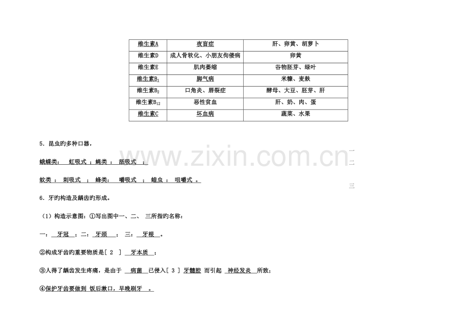 2023年浙教版科学九年级上册知识点梳理.doc_第2页