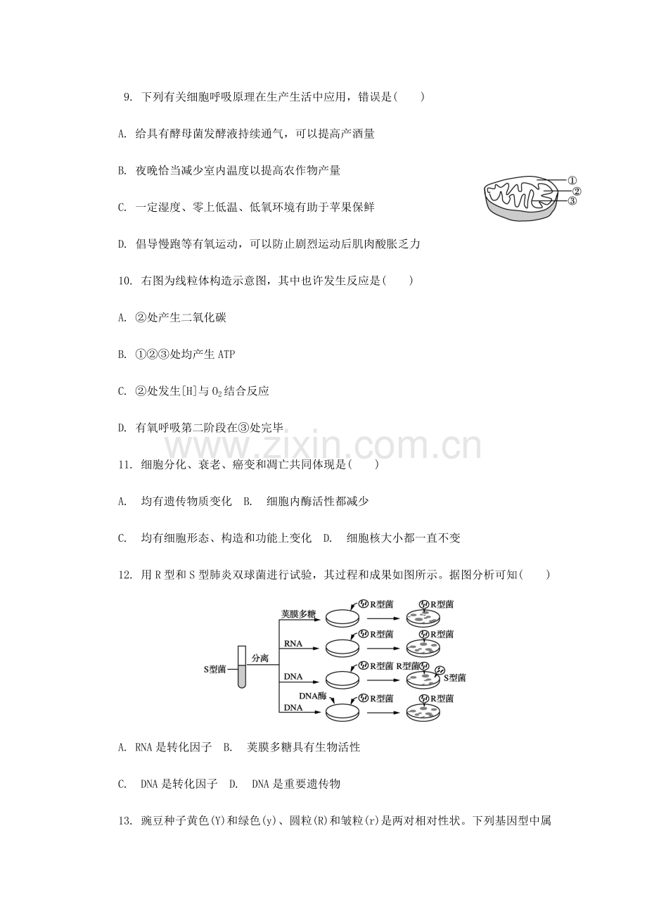 2023年江苏省扬州市高二生物学业水平测试模拟卷十五.doc_第3页