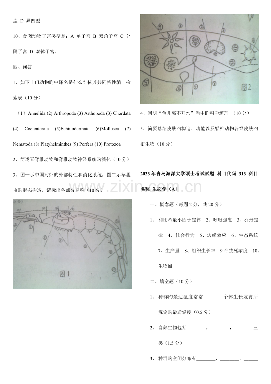 2023年普通动物学与生态学真题.doc_第2页