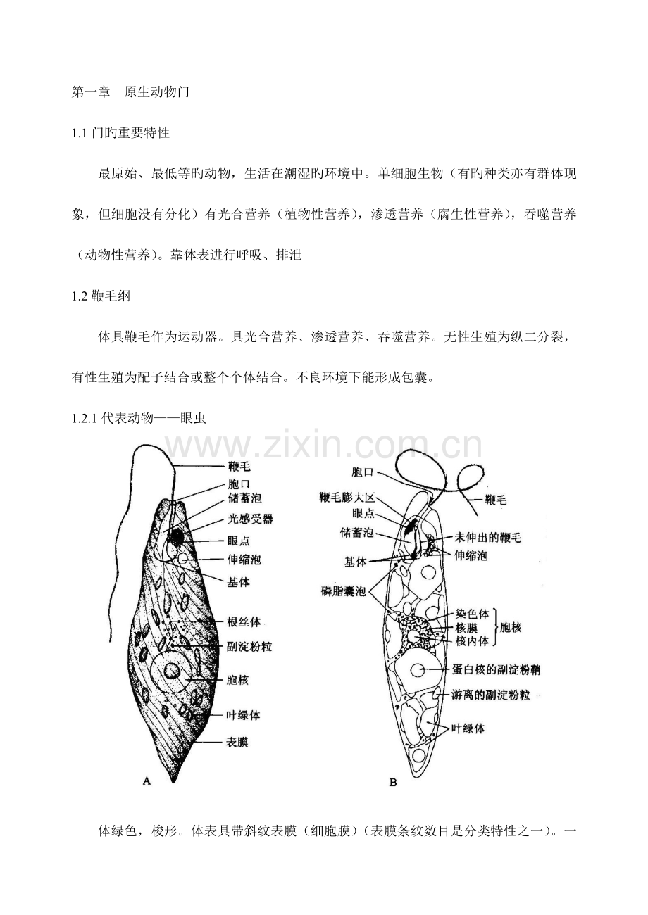 2023年竞赛辅导动物.doc_第1页