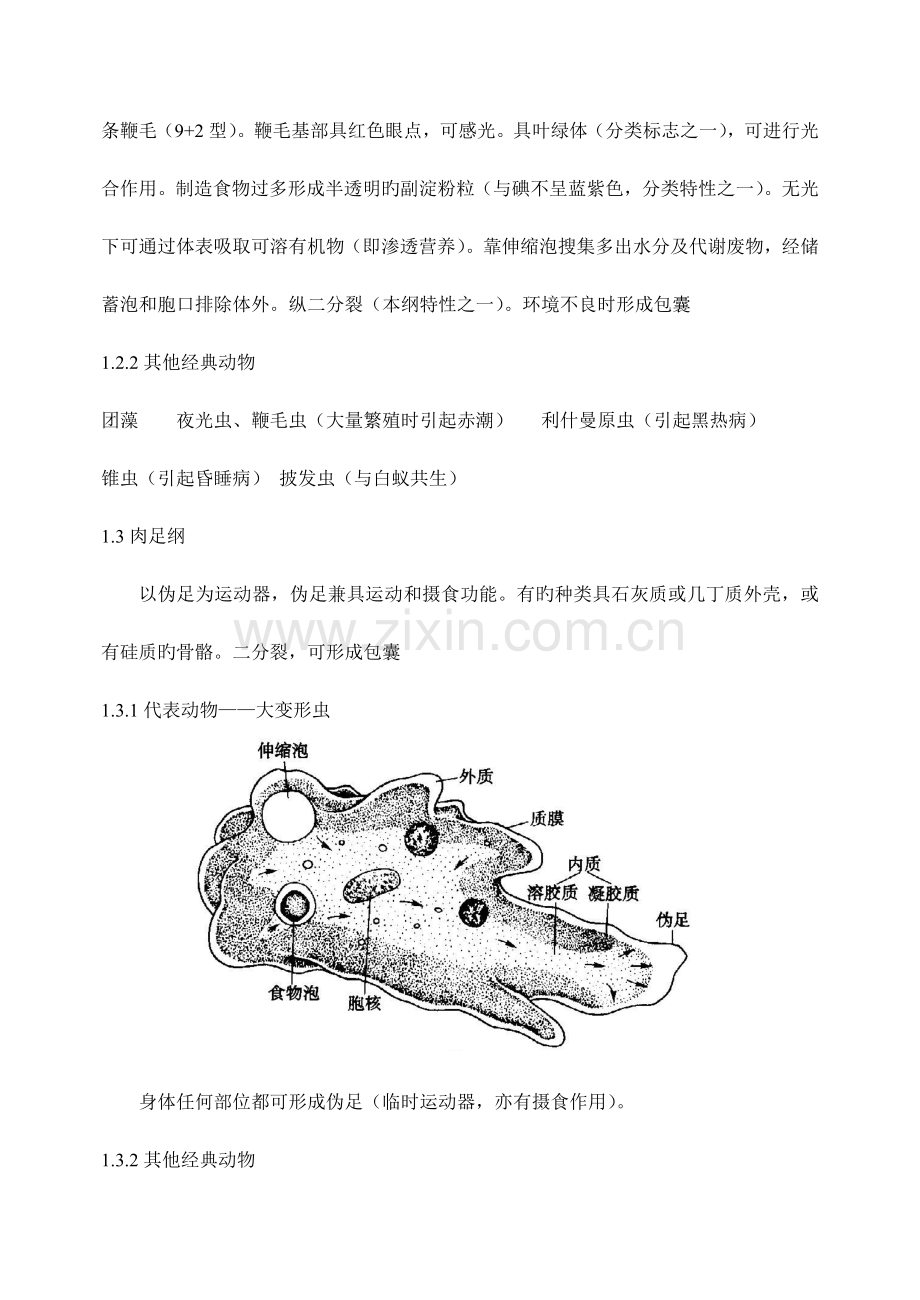 2023年竞赛辅导动物.doc_第2页