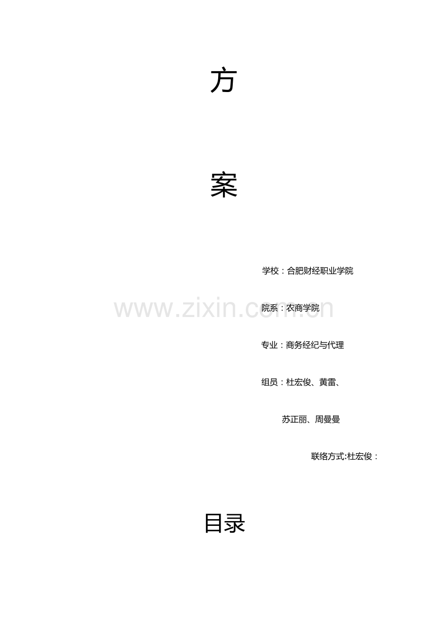 产品营销策划书.docx_第2页