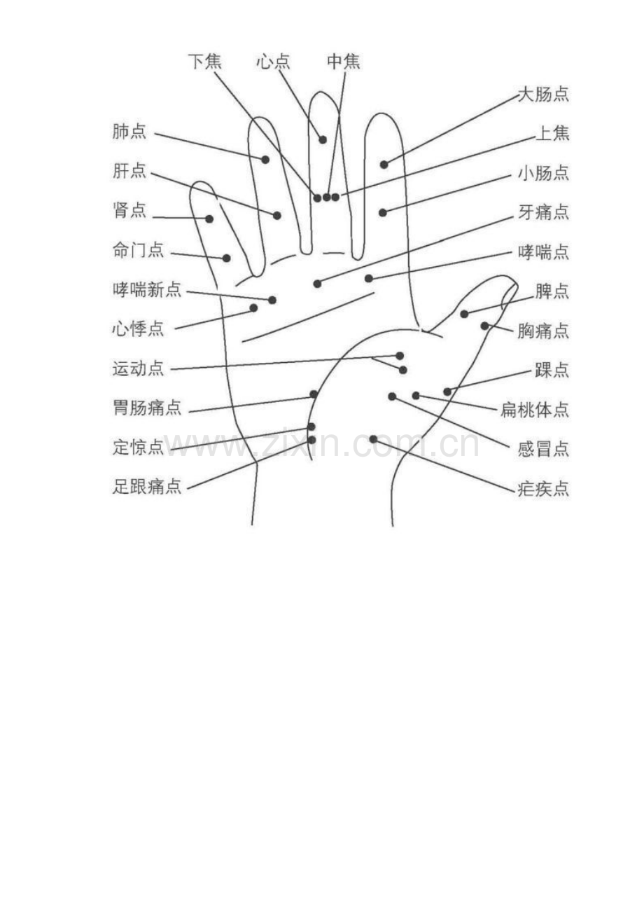 2023年美容导师美容师必须掌握的知识点.doc_第3页