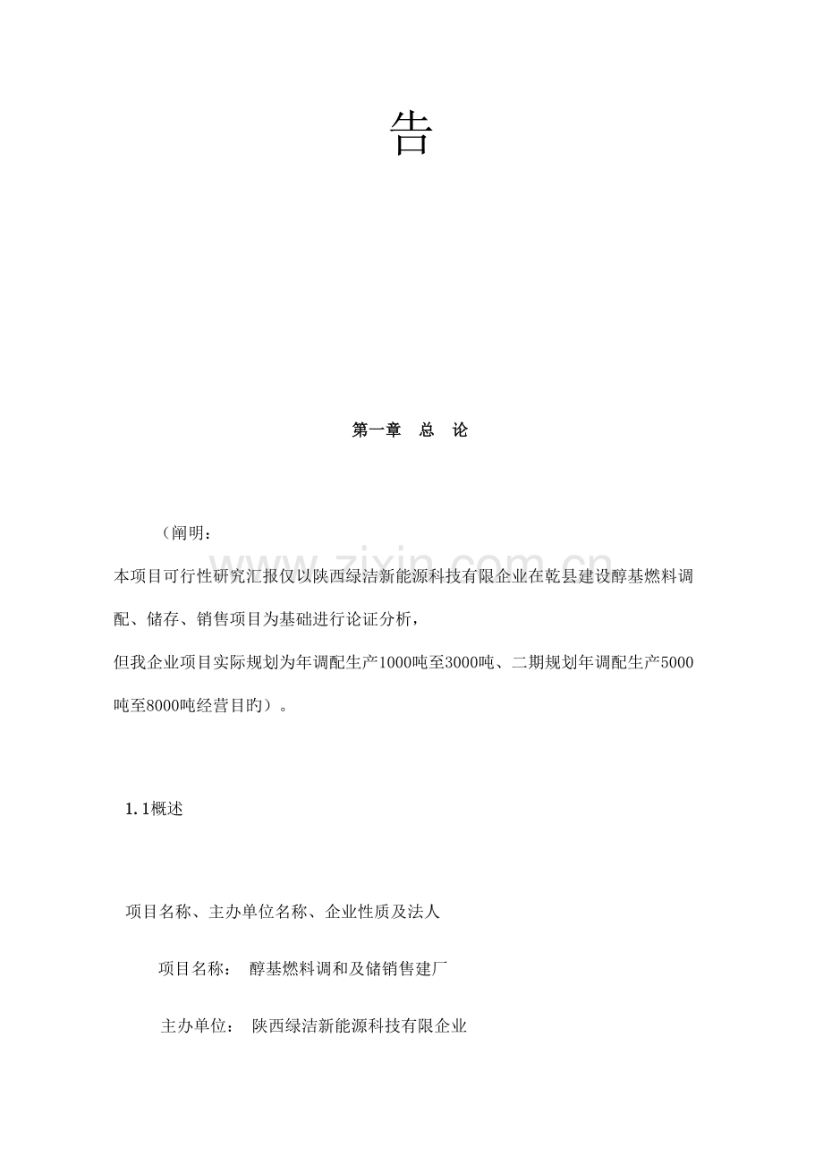 醇基燃料项目可行性报告公司.docx_第2页