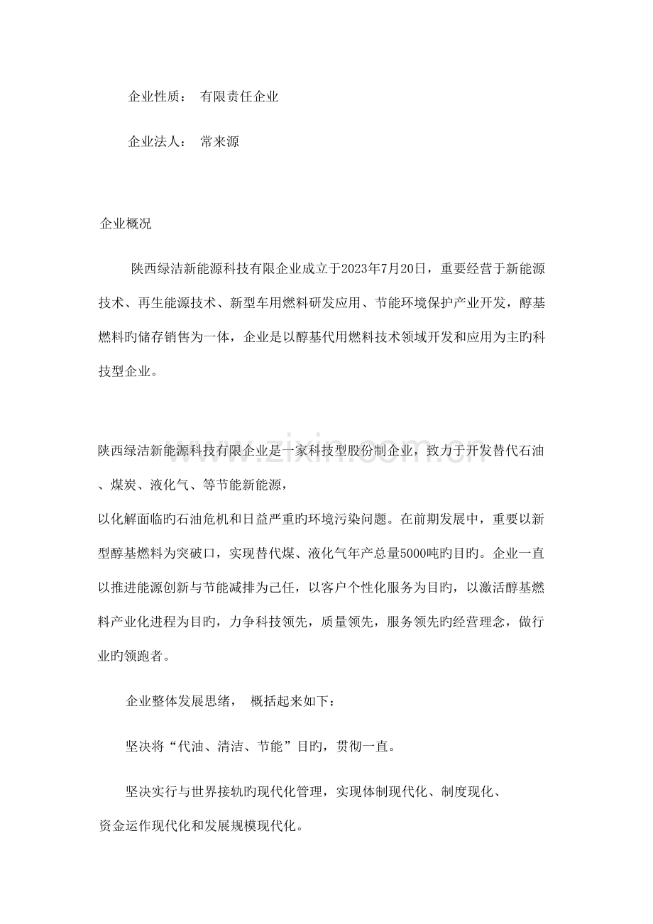 醇基燃料项目可行性报告公司.docx_第3页