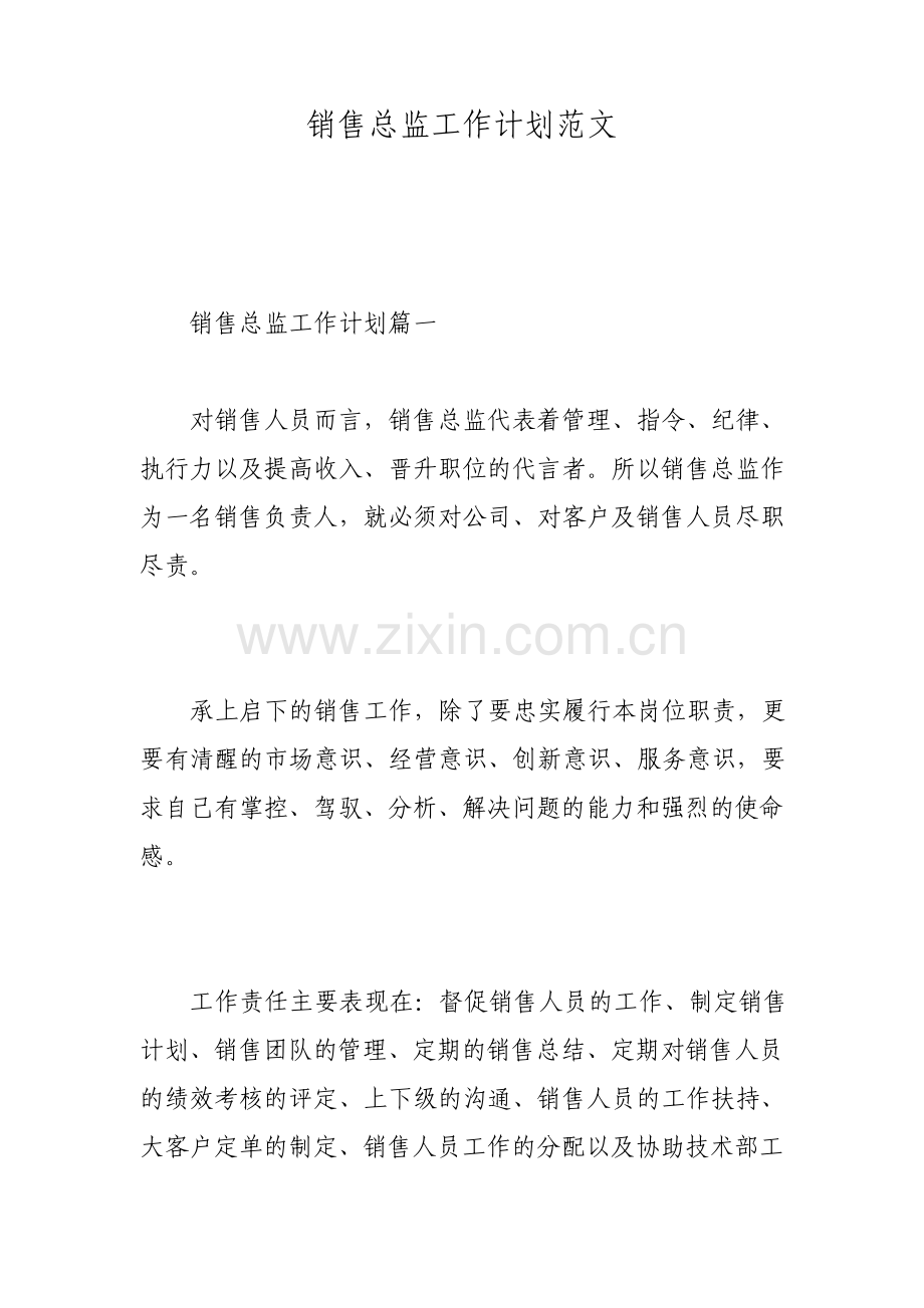 销售总监工作计划范文.pdf_第1页