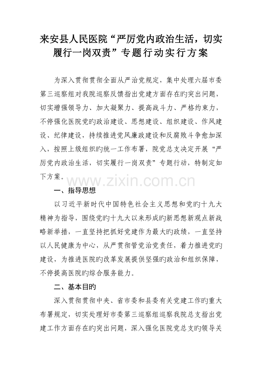 严肃党内政治生活切实履行一岗双责专项行动方案.doc_第1页