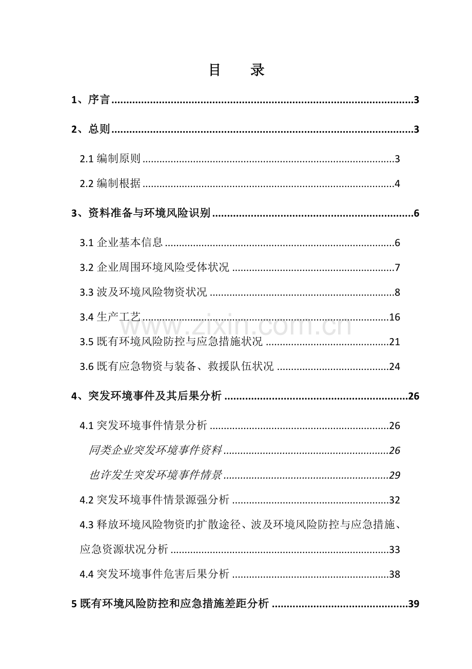 化工技术有限公司环境风险评估报告.doc_第1页