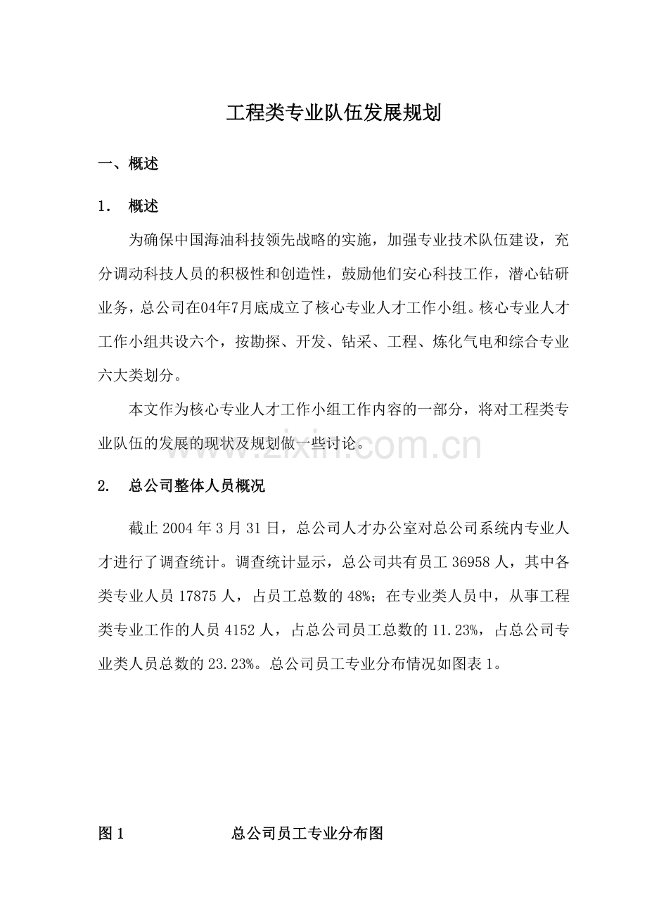 中华咨询中海油总公司系统内工程专业队伍发展规划.doc_第1页