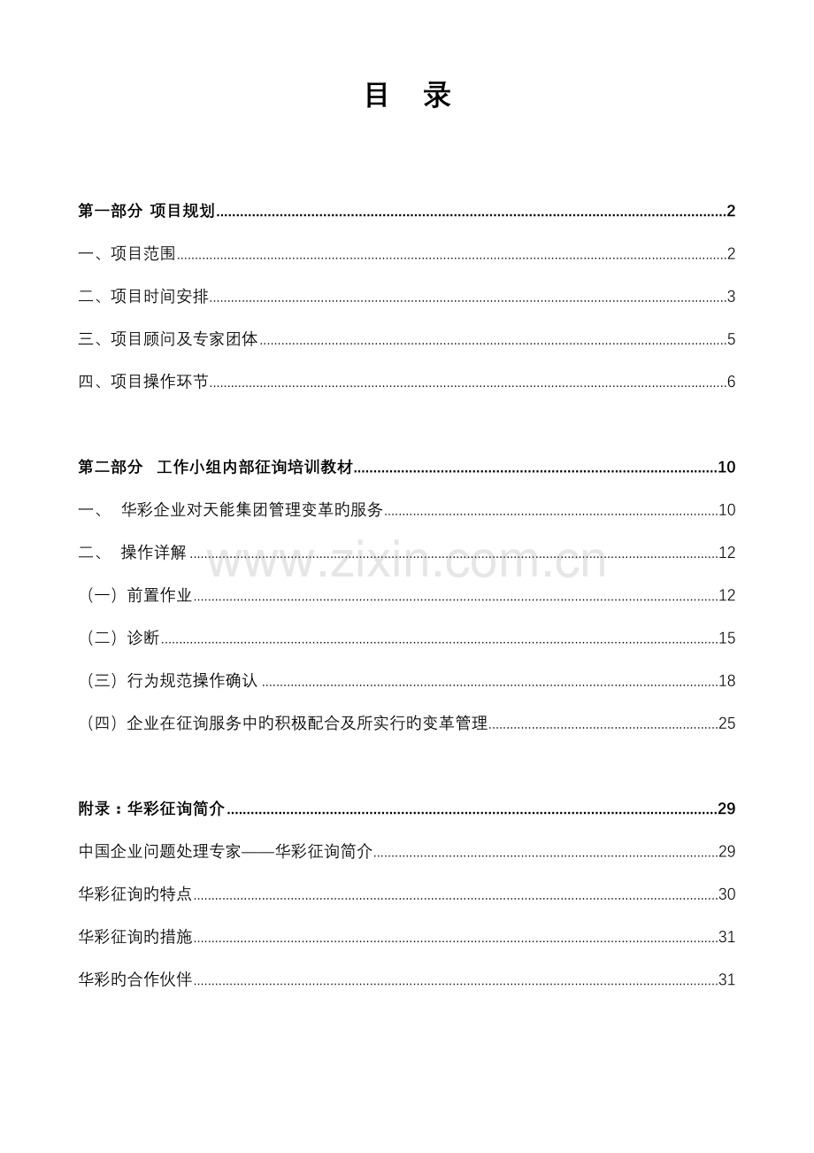 天能集团咨询项目管理手册.doc_第3页