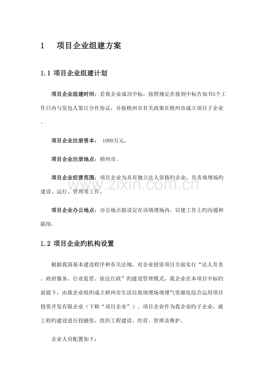 项目公司组建方案.docx_第1页