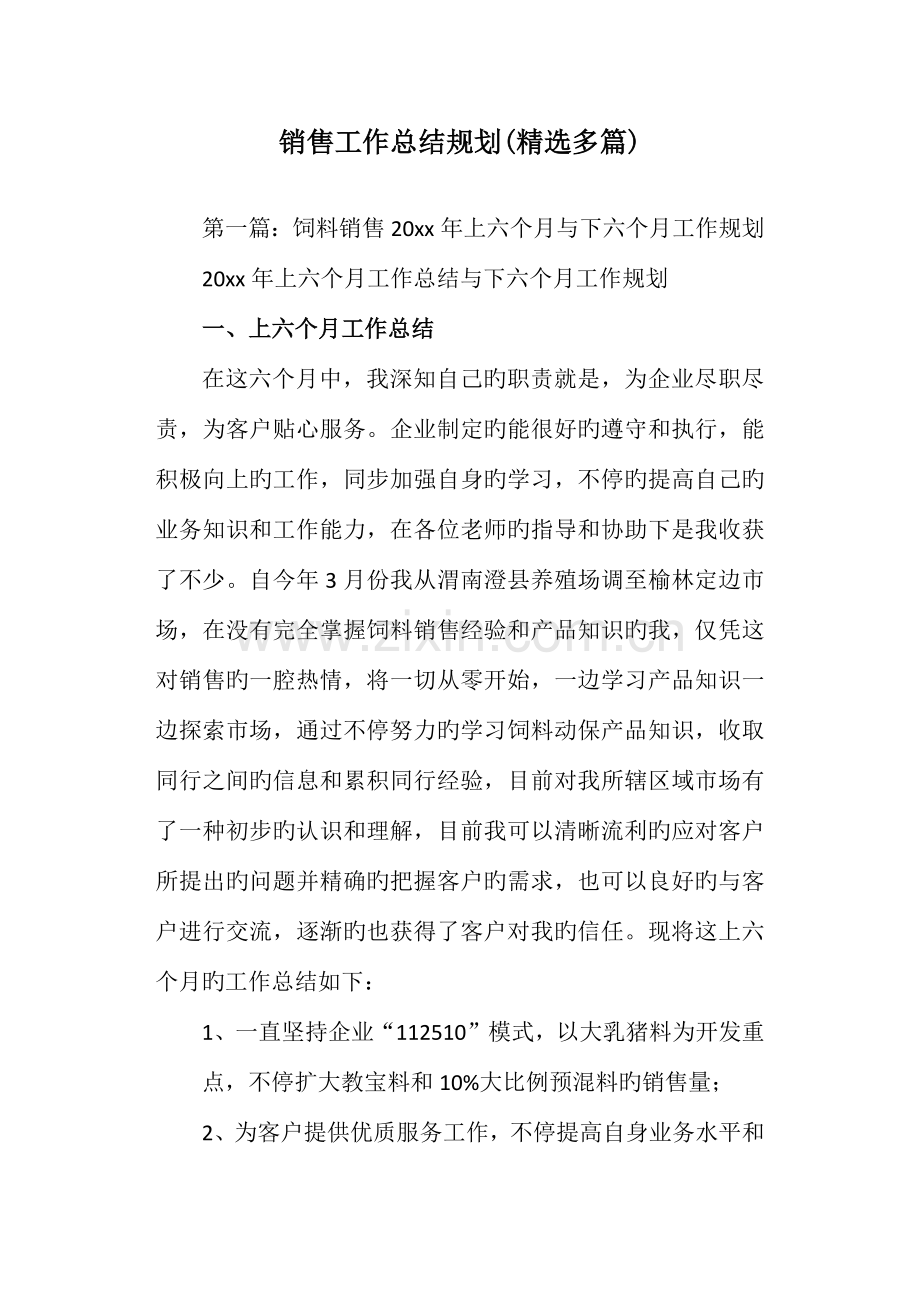 销售工作总结规划.doc_第1页