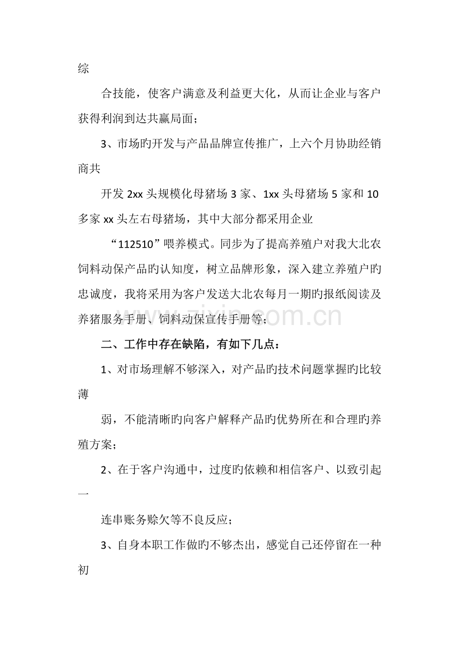 销售工作总结规划.doc_第2页