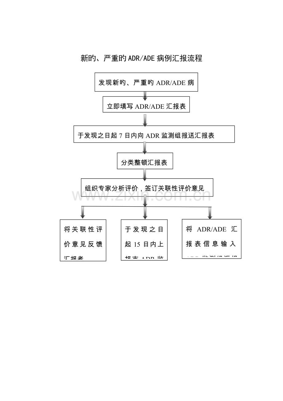 新版药品不良反应报告流程.doc_第3页