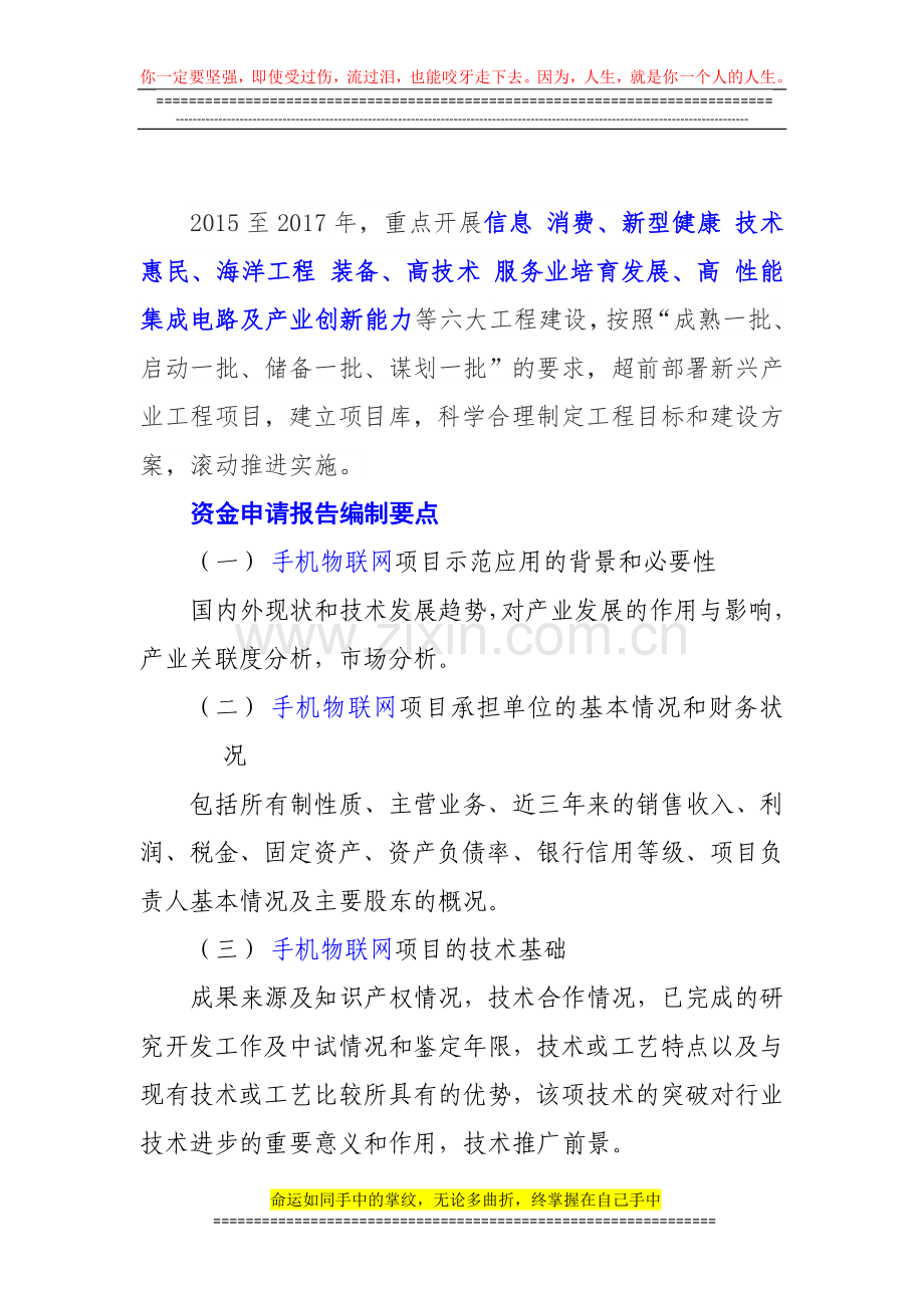 新兴产业重大工程包-手机物联网项目资金申请报告.doc_第2页