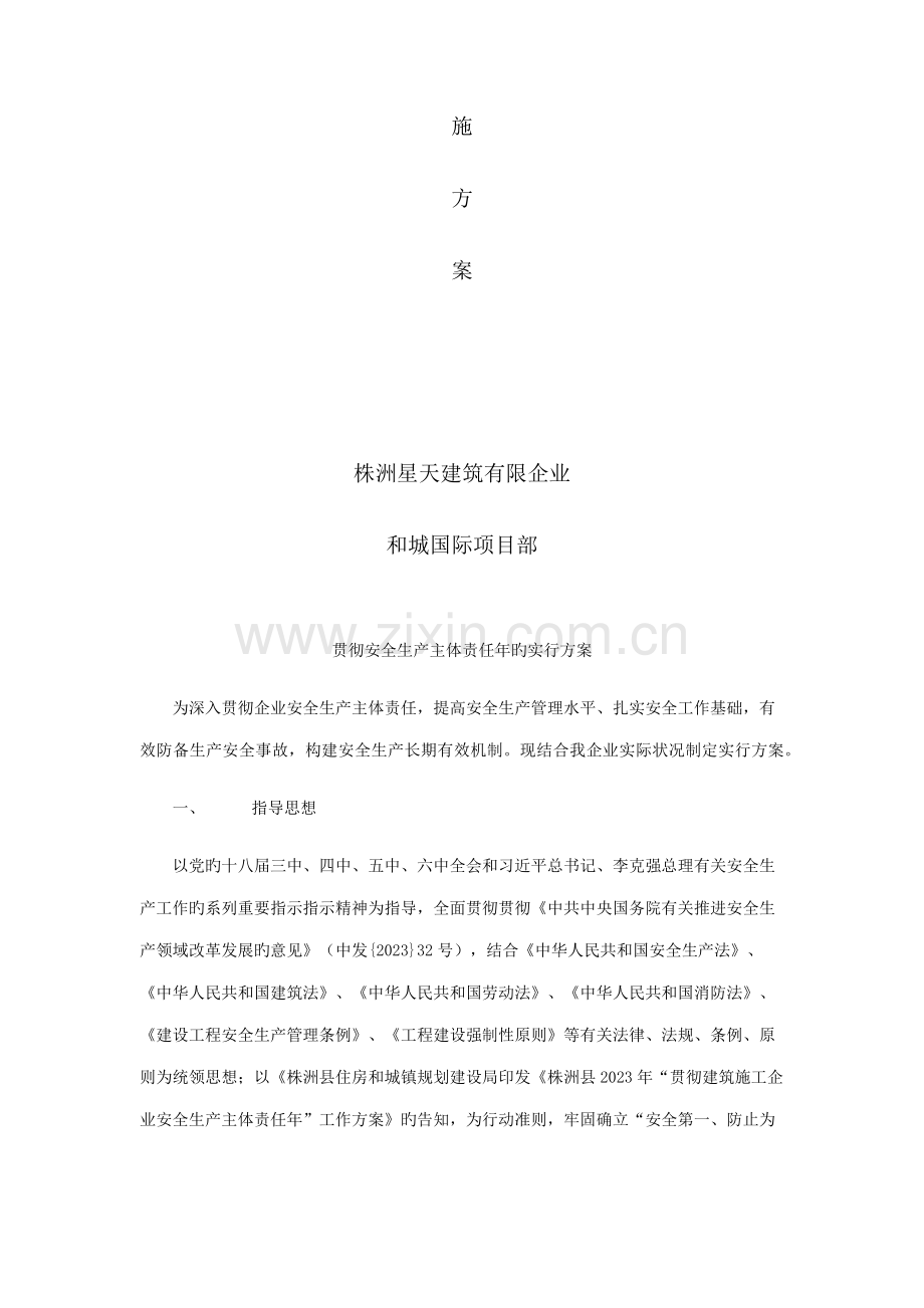 落实安全生产主体责任年的实施方案.docx_第2页