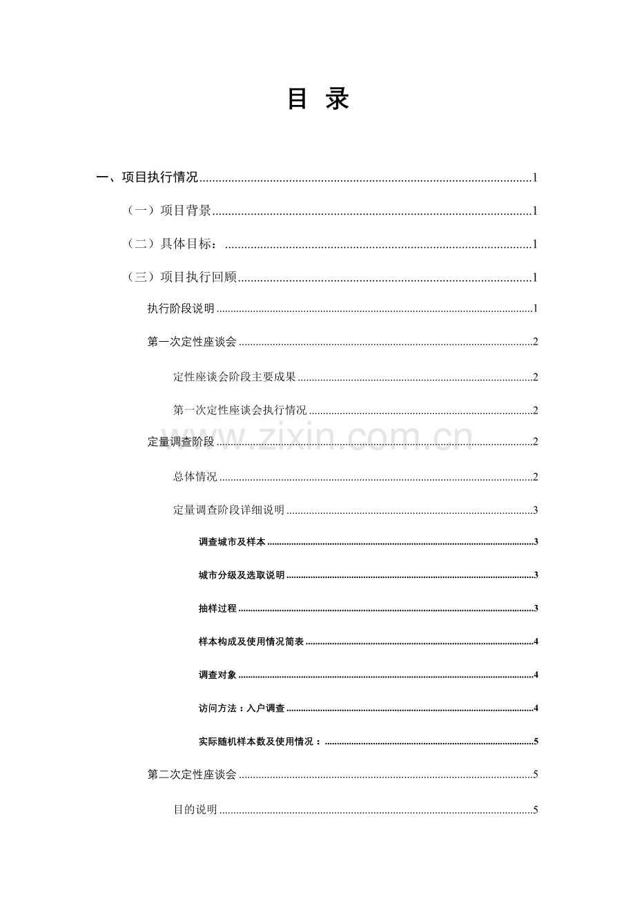 电信公众客户细分项目报告.doc_第2页