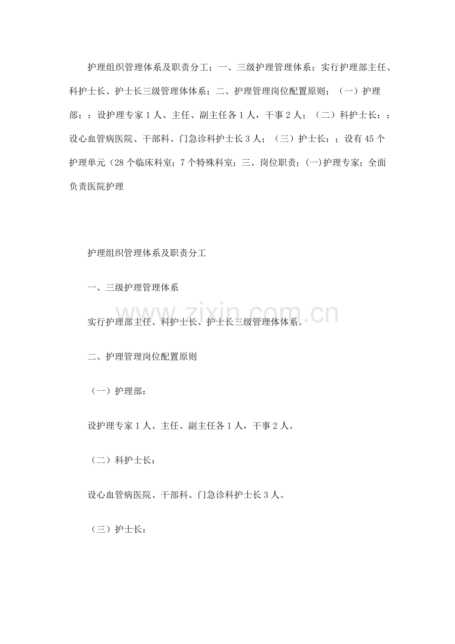 护理组织管理体系及职责分工.docx_第1页