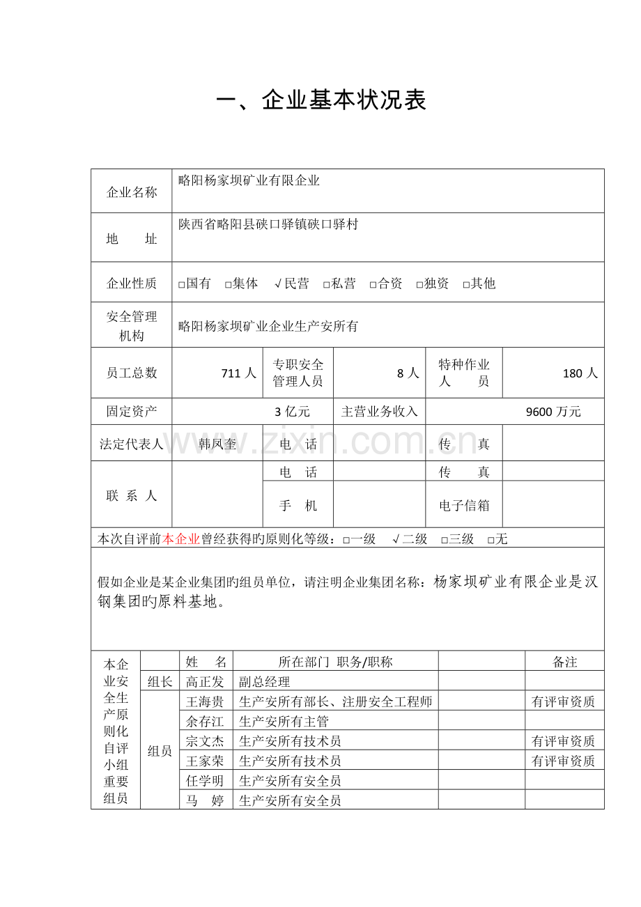 安全生产标准自评报告.doc_第3页