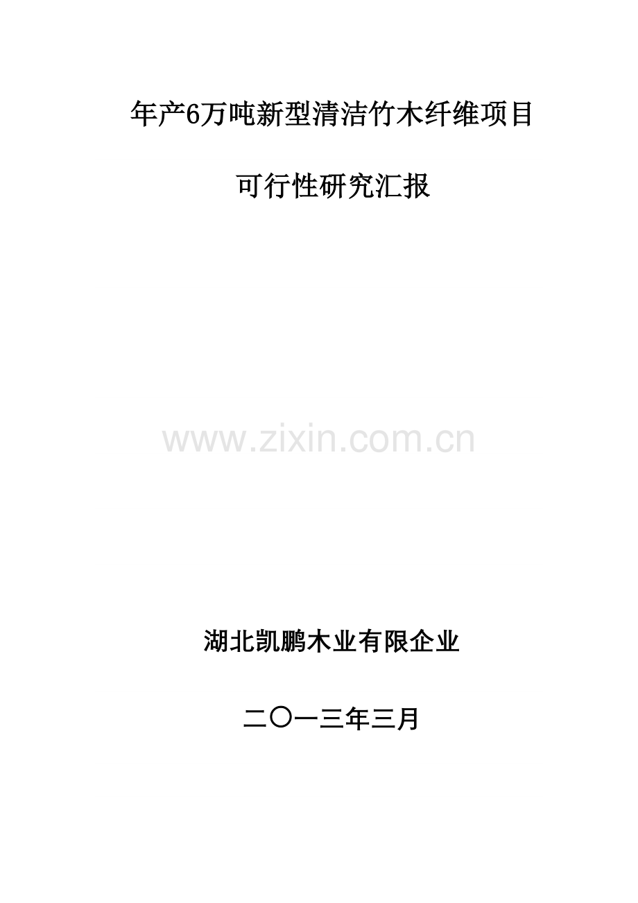 年产6万吨新型清洁竹木纤维项目.doc_第1页