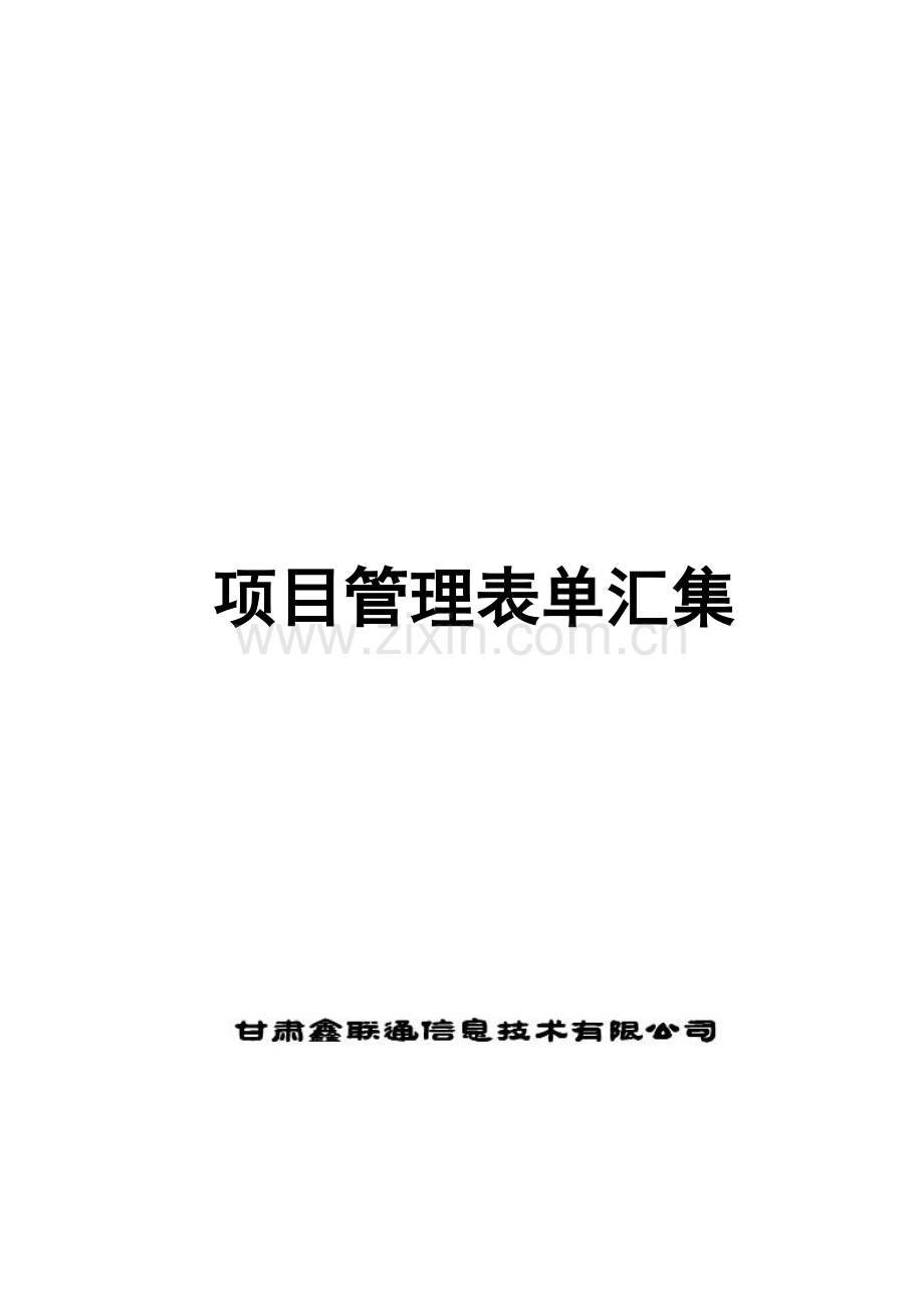 公司项目管理表单汇集.doc_第1页