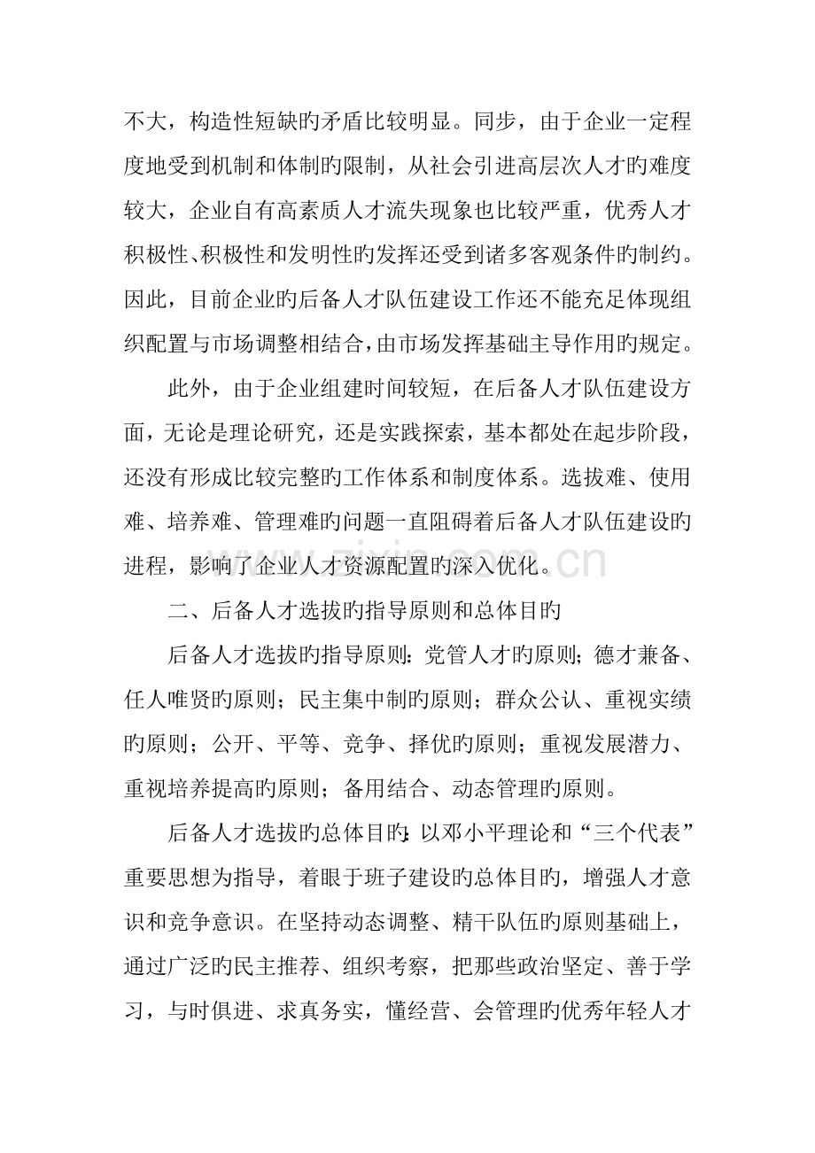 公司后备人才队伍建设方案.docx_第2页